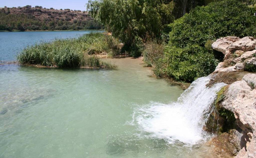 Hospederia Casa De La Torre ξενώνας El Toboso Εξωτερικό φωτογραφία