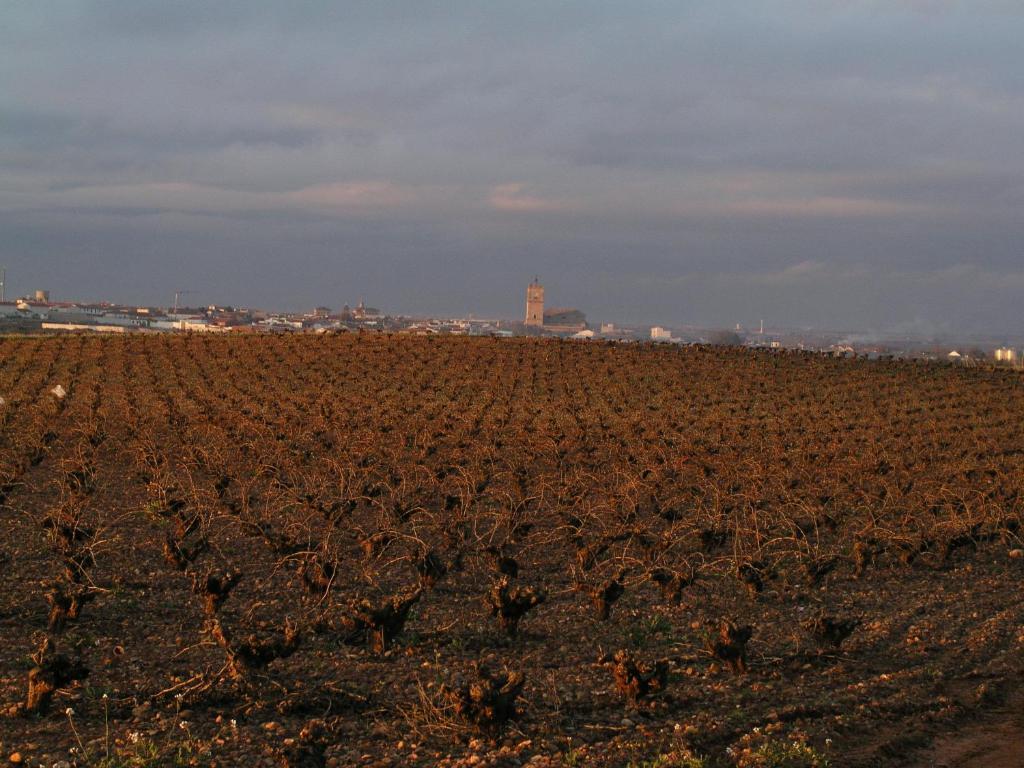 Hospederia Casa De La Torre ξενώνας El Toboso Εξωτερικό φωτογραφία